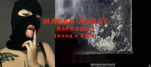 молекула духа Богданович