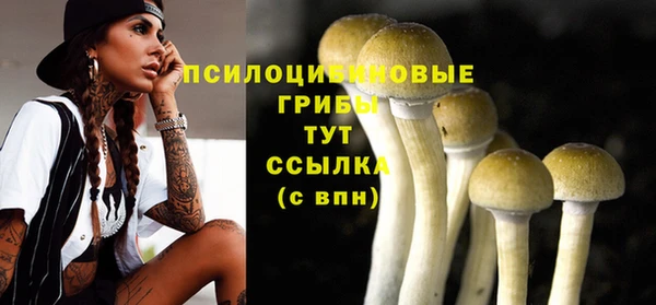 тгк Бугульма