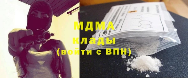 молекула духа Богданович