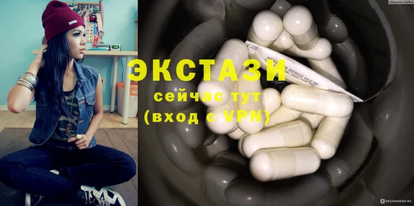 молекула духа Богданович