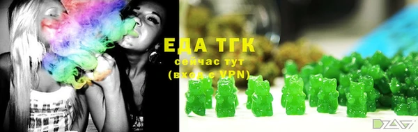 молекула духа Богданович