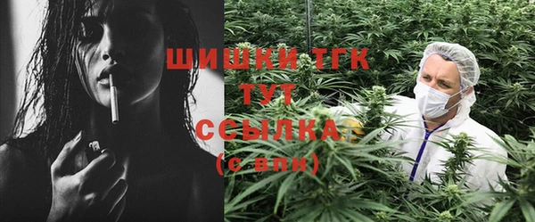 молекула духа Богданович