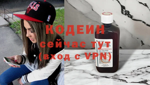 молекула духа Богданович