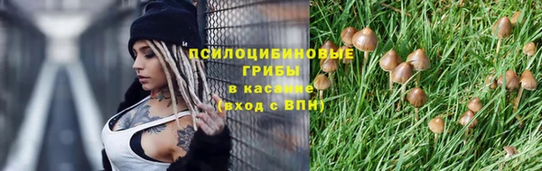 марки nbome Богородицк