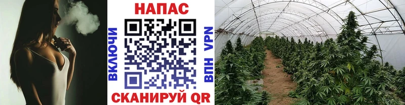 МАРИХУАНА THC 21% Кочубеевское